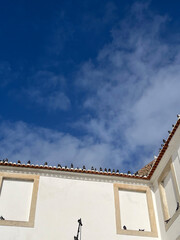roof of the house with blue sky