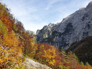 Logar valley - mountains Kamnik Alps and autumn trees in Slovenia