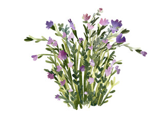 Flower plant watercolor illustration