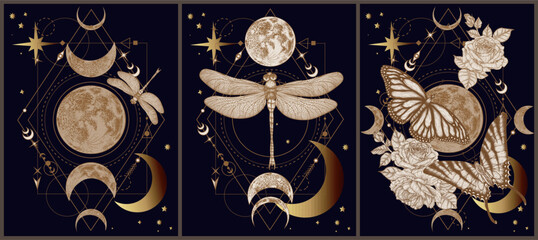 Set of 3 vector mystical illustrations with butterflies, dragonflies, moon, stars, rose flowers on a geometric magical background