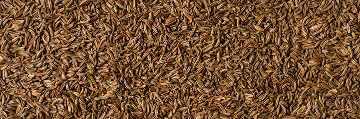 Dried caraway texture. Background with copyspace. Close up. Top view