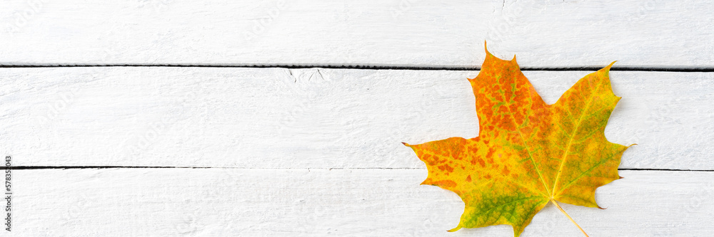 Wall mural Autumn leaf on white wooden table with copyspace. Fall concept. Flat lay