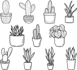 Set of hand drawn houseplant