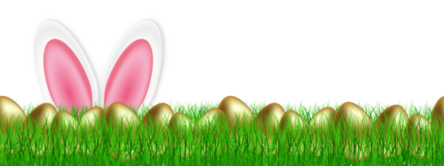 Easter banner with easter golden eggs in the meadow and easter bunny ears. Easter banner on a transparent background. PNG image