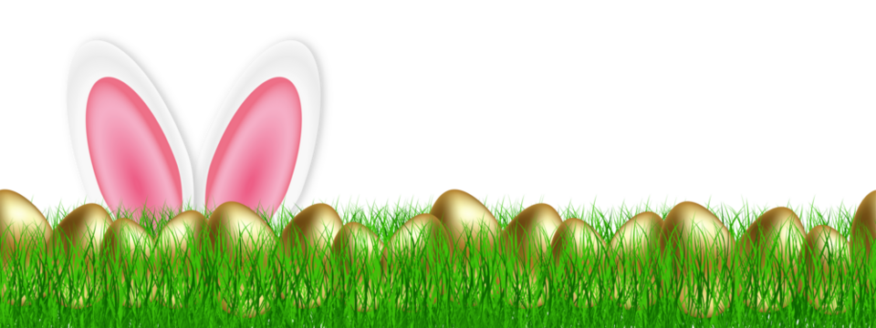 Easter banner with easter golden eggs in the meadow and easter bunny ears. Easter banner on a transparent background. PNG image