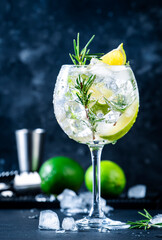 Gin tonic alcoholic cocktail drink with dry gin, rosemary, tonic, lime and ice cubes in wine glass....