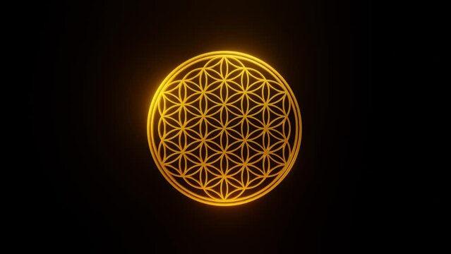Spinning golden ornament of the flower of life on a black background, 3d animation, seamless loop using as meditative backdrop