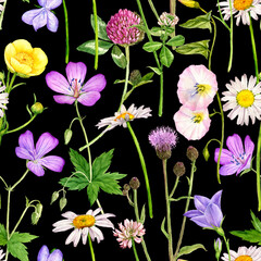 seamless pattern, watercolor drawing wild flowers , field herbs at black background , hand drawn botanical illustration, floral background
