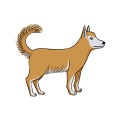 vector drawing sketch of animal, hand drawn dog, isolated nature design element