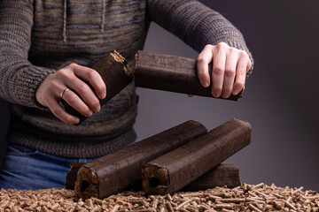 Production of wood pellets. A type of wood fuel. Used in boilers of central heating systems