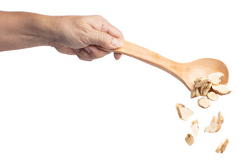 Galangal fall fly in turner, fresh vegetable spice galangal falling. Organic fresh herbal galangal root head cut chop slice, close up texture. White background isolated freeze motion high speed
