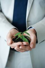 Nurturing growth. Cropped image of hands holding a small plant growing in soil.