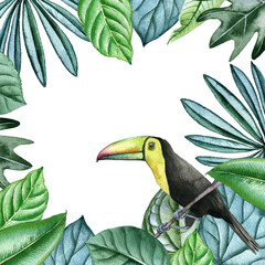 watercolor drawing toucan bird and green tropical leaves, hand drawn illustration, jungle background