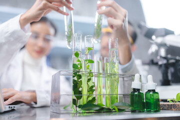 eco skin care beauty products in laboratory development concept, Natural drug research with organic plants and scientific extraction in glassware, Alternative green herb medicine for body health care - obrazy, fototapety, plakaty