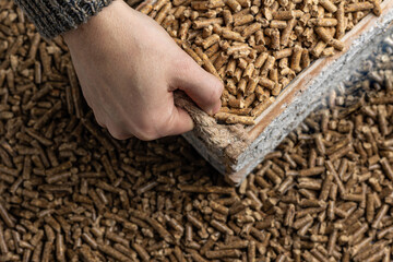 Production of wood pellets. A type of wood fuel. Used in boilers of central heating systems