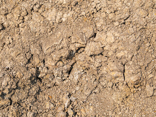 Close-up shot of dry and cracked soil surface. Environmental nature pattern. Global warming and rough surface
