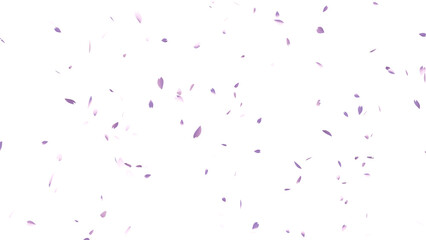 舞い散る桜の花びら_CGイラスト_透過素材 - obrazy, fototapety, plakaty