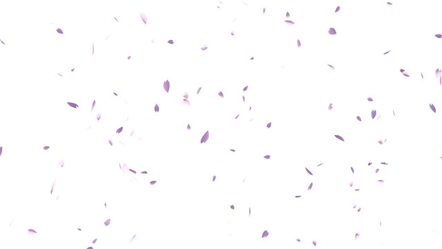 舞い散る桜の花びら（透過素材）-CGイラスト