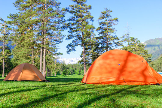 camping on campground in forest with tents