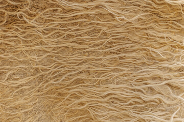 Lamb skin texture close-up. Texture of white fur. Natural white fur. Animal fur. Abstract textures for designers. A high quality.