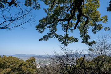 金比羅山の風景