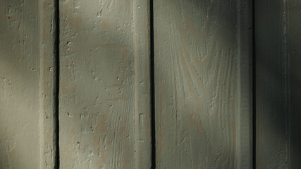 Texture of an old door. High quality photo.