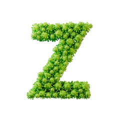 Letter Z made from a virus flu and germ molecule. 3D Rendering
