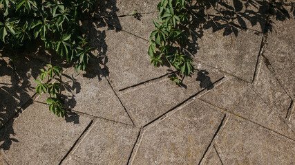 Texture of designer concrete facade with triangles.