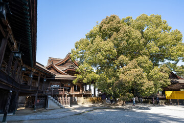 Obraz premium 金比羅山の風景