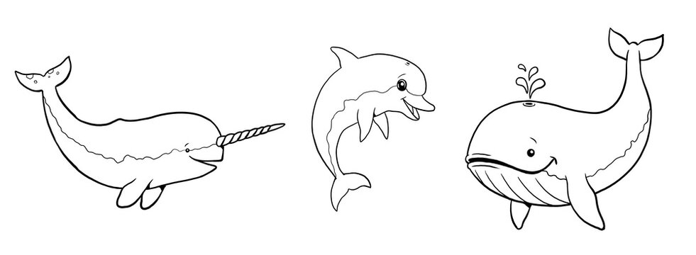 Cute narwhal, whale and dolphin to color in. Template for a coloring book with funny animals. Colouring page for kids.	
