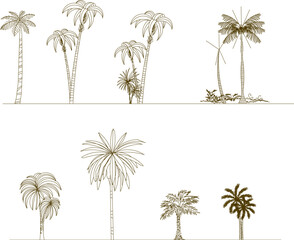 Golden palm plant illustration vector sketch for ornament