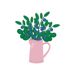 Bouquet, branches of blue blueberries with green leaves in a pink water jug, close-up, isolated, on a transparent and white background. Vector image, illustration. Design element.