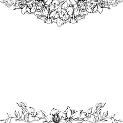 Obraz premium Hand drawn vector ink orchid flowers and branches, monochrome, detailed outline. Square frame composition. Isolated on white background. Design for wall art, wedding, print, tattoo, cover, card.