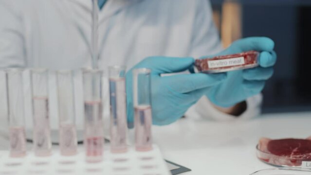 Close-up of male microbiologist sitting by workplace in laboratory and holding petri dish with lab-grown in-vitro meat while carrying out scientific research