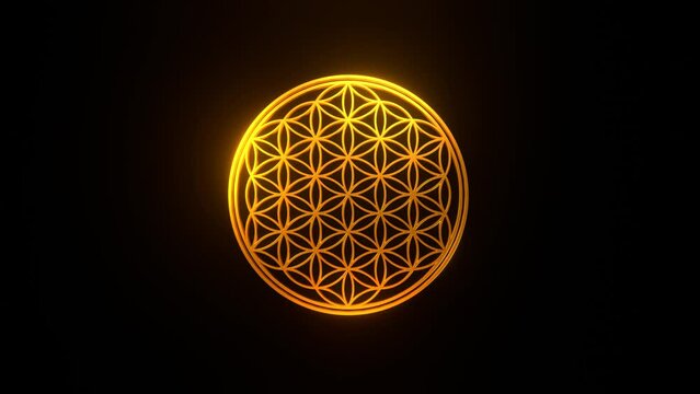 Shiny golden ornament of the flower of life spinning and rotating on a black backgrond, 3d animation, ancient, spirituality, meditation, seamless loop