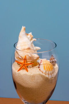 Glass with various conches and sand