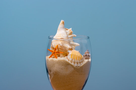 Glass with various conches and sand