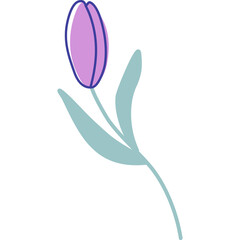 Hand drawn tulip flower with leaves. Minimalist vector illustration of Spring plant. Blooming plant, botany icon 