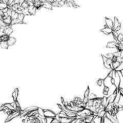 Obraz premium Hand drawn vector ink orchid flowers and branches, monochrome, detailed outline. Square frame composition. Isolated on white background. Design for wall art, wedding, print, tattoo, cover, card.