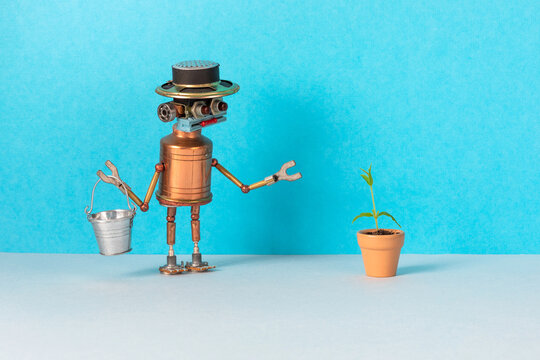 Toy robot brought a bucket of water for a plant growing in a flower clay pot. Artificial and live concept.
