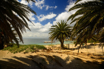 Obraz na płótnie Canvas A beach at Simon's Town (near Cape Town), South Africa