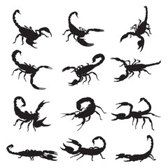 Image of Set scorpion silhouette vector illustration. printed on Printed Glass Splashbacks
