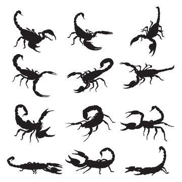 Set scorpion silhouette vector illustration.