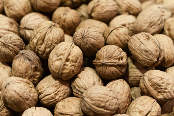 Walnuts in shell