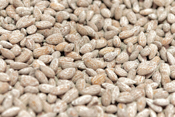 Salted roasted almonds