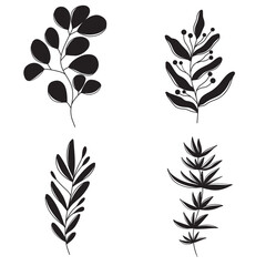 Set of tropical branches with stem and leaves and berries in black isolated on white background. Vector hand drawn silhouette illustration in doodle simple trendy style. Botanical abstract flowers.