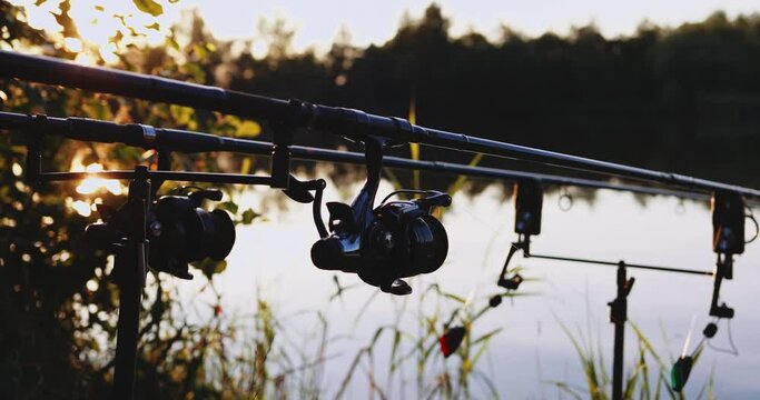 Fishing rods set up for carp fishing near serene lake at sunset with modern equipment, alarms included. Everything ready for successful angling experience. Ideal for spring, summer, fall recreation