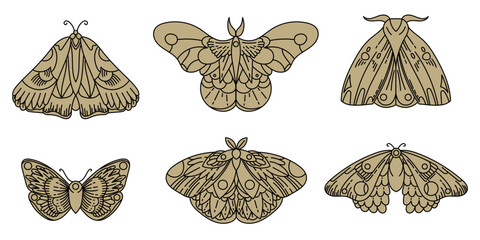 Isolated object. Butterfly set. Line drawing. Tarot symbols. Mysticism, esotericism, nature, harmony. Simple beautiful butterflies.