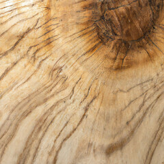 texture cut of old wood transverse