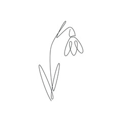 Snowdrop drawn in one continuous line. One line drawing, minimalism. Vector illustration.